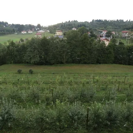 Resnik